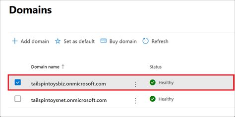 remove onmicrosoft domain.